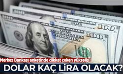 Dolar yıl sonunda kaç lira olacak? Merkez Bankası anketinde dikkat çeken yükseliş