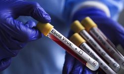 DSÖ Uganda'daki Ebola salgınının sona erdiğini doğruladı