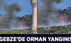 Gebze’de korkutan orman yangını! Çok sayıda itfaiye ekibi sevk edildi