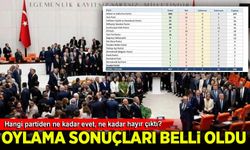 Çerçeve yasa oylamasının sonuçları belli oldu: Hangi partiden ne kadar evet çıktı?