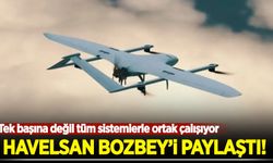 HAVELSAN BOZBEY’i paylaştı: Tek başına değil tüm sistemlerle ortak çalışıyor