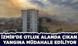 İzmir'de otluk alanda çıkan yangına müdahale ediliyor