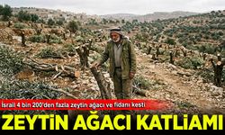 Siyonist israil'in 'Zeytin Ağacı Katliamı!'