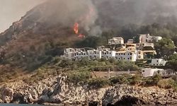WWF: İtalya'da bu yaz çıkan orman yangınlarında 70 bin hektar alan kül oldu