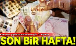 Kamu borç yapılandırmasında son gün: 31 Ağustos