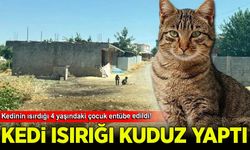Kedinin ısırdığı 4 yaşındaki çocuk entübe edildi! Kuduz testi pozitif çıktı