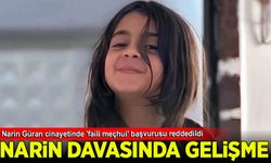 Narin Güran cinayetinde 'faili meçhul' başvurusu reddedildi
