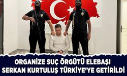 Organize suç örgütü elebaşı Serkan Kurtuluş Türkiye'ye getirildi