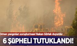 Orman yangınları soruşturması: 6 kişi tutuklandı!