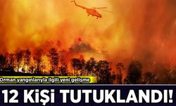 Orman yangınlarıyla ilgili yeni gelişme: 12 kişi tutuklandı