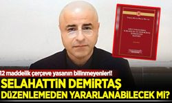 12 maddelik çerçeve yasanın bilinmeyenleri! Demirtaş için tek şart...