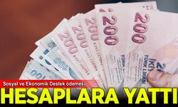 Ağustos ayı Sosyal ve Ekonomik Destek ödemeleri hesaplara yatırıldı