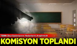 TBMM Okul Saldırılarının Nedenlerini Araştırma Komisyonu toplandı