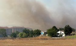 Silivri'de tarlada başlayan yangın yayıldı