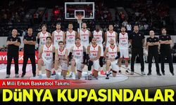 A Milli Erkek Basketbol Takımı, Dünya Kupası biletini aldı
