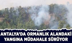 Antalya'da ormanlık alandaki yangına müdahale sürüyor