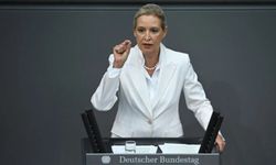 AfD'den Almanya'daki Ukraynalılara çağrı: Eve dönün