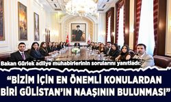 Gürlek: "Bizin için en önemli konulardan biri Gülistan'ın naaşının bulunması"