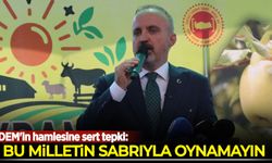 DEM'in hamlesine sert tepki: Bu milletin sabrıyla oynamayın