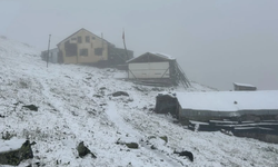Sezonun ilk karı Rize'deki Tahpur Yaylası'na yağdı