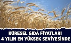 Küresel gıda fiyatları yaklaşık 4 yılın en yüksek seviyesinde