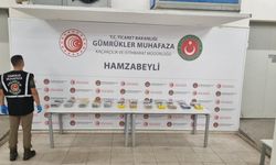 İpsala ve Hamzabeyli gümrük kapılarında uyuşturucu madde ele geçirildi