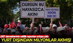 LGBT derneklerinin valilik raporları ortaya çıktı! Yurt dışından milyonlar akmış