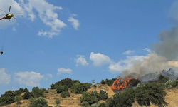 Manisa'nın Soma ilçesinde orman yangını çıktı