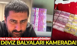 'Vanlı Kara Haydar' dosyasında yeni görüntüler: Döviz balyaları kamerada