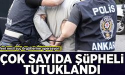 Yeni nesil suç örgütlerine operasyon: Çok sayıda şüpheli tutuklandı