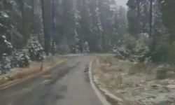 Kastamonu'nun yüksek kesimlerine kar yağdı