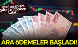 Fon tasfiyesinde ara ödeme başladı! İşte hesaplara yatırılan toplam tutar