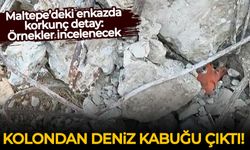 Maltepe’deki enkazda korkunç detay: Kolondan deniz kabuğu çıktı!