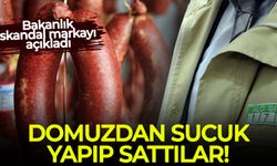 Domuzdan sucuk yapıp sattılar! Bakanlık skandal markayı açıkladı