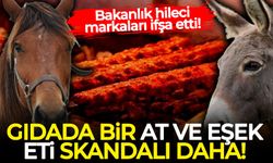 Bakanlık hileci markaları ifşa etti: Gıdada bir at ve eşek eti skandalı daha