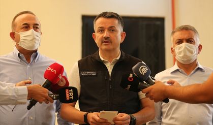 Bakan Pakdemirli ve Bakan Çavuşoğlu orman yangınlarına ilişkin açıklamada bulundu