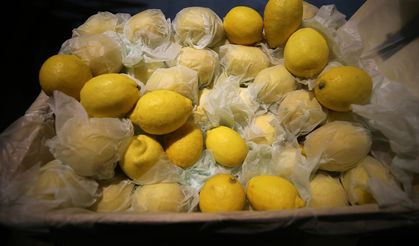 Yasaklı madde tespit edilen limonlarla ilgili üretici ve ihracatçı firmalar hakkında soruşturma
