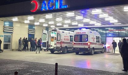 Trabzon'da uçurumdan düşen baba hayatını kaybetti