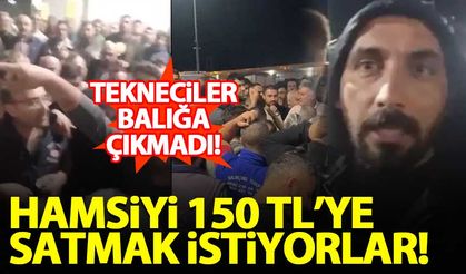 'Tekneciler balığa çıkmadı, hamsiyi 150 TL'den satmak istiyorlar'
