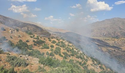 Siirt'te meşelik alanda çıkan yangına müdahale ediliyor