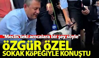 Özgür Özel sokakta gördüğü sokak köpeğiyle sohbet etti