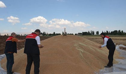 Muşlu çiftçiler buğday ve arpa hasadından memnun