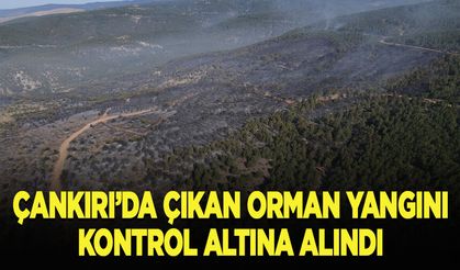 Çankırı'da çıkan orman yangını kontrol altına alındı