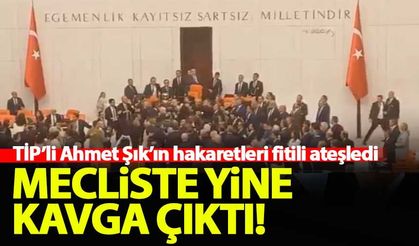 Ahmet Şık hakaretler yağdırdı! Meclis bir anda karıştı...