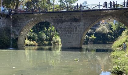 Bartın Irmağı'ndaki balık ölümlerine ilişkin inceleme başlatıldı