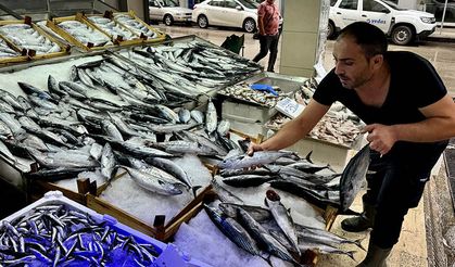 Balık tezgahlarında palamut, hamsi ve çinekop bolluğu yaşanıyor