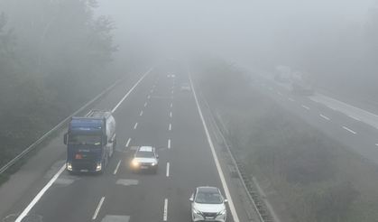 Düzce ve Karabük'te sis etkili oldu