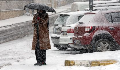 Doğu'da 5 ilde kar yağışı devam ediyor