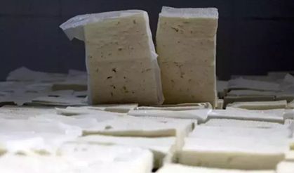 Peynir yemek demans riskini azaltabilir