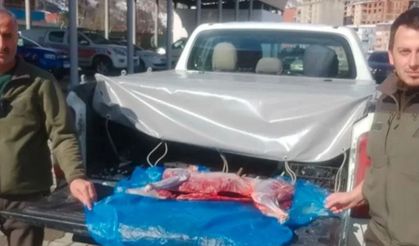 Artvin’de kaçak avcılar suçüstü yakalandı